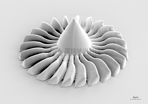螺旋桨电子显微镜图