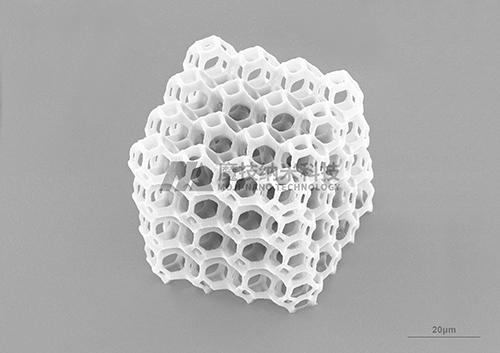 三维笼式细胞支架电子显微镜图